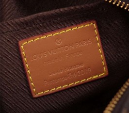 Louis Vuitton Monogram Canvas Mini Soft Trunk Bag