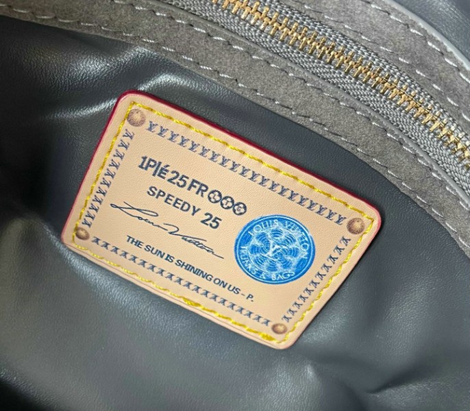Suede Speedy P9 Bandouliere 25 In Gray - Image 7