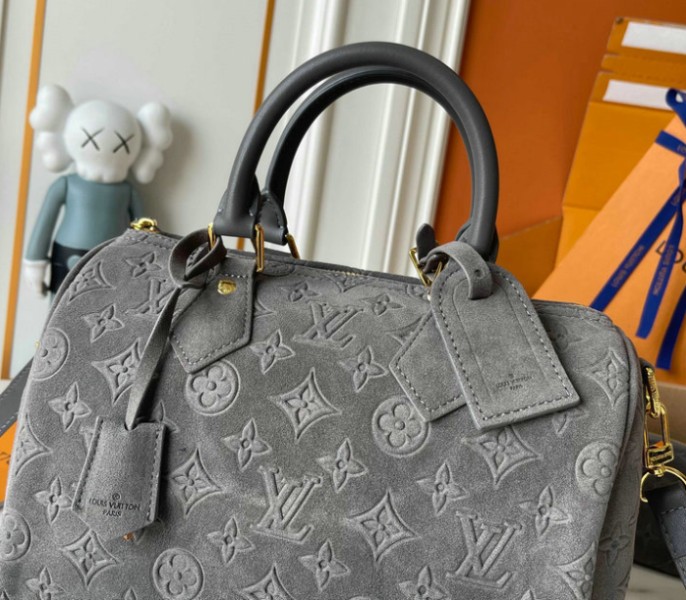 Suede Speedy P9 Bandouliere 25 In Gray - Image 8