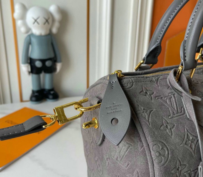 Suede Speedy P9 Bandouliere 25 In Gray - Image 9