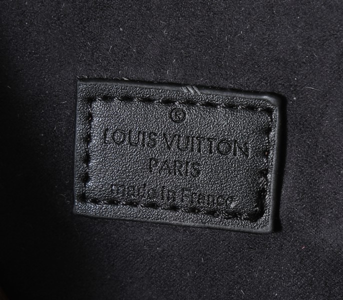 Replica Louis Vuitton LV Monogram Canvas Camera Box M82465 Carry-On Shoulder - Image 6
