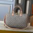 LV Speedy Dupe Washed Gray Monogram Embleme