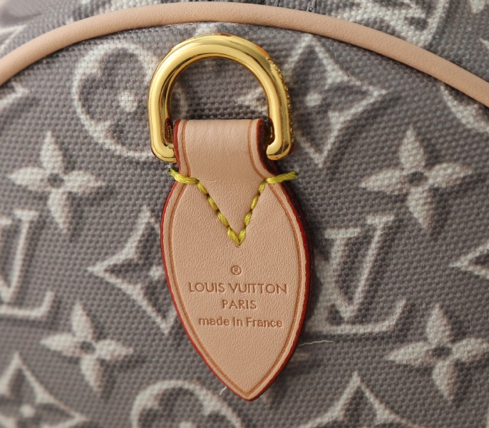 Monogram Embleme Speedy Soft 30 In Washed Gray - Image 6